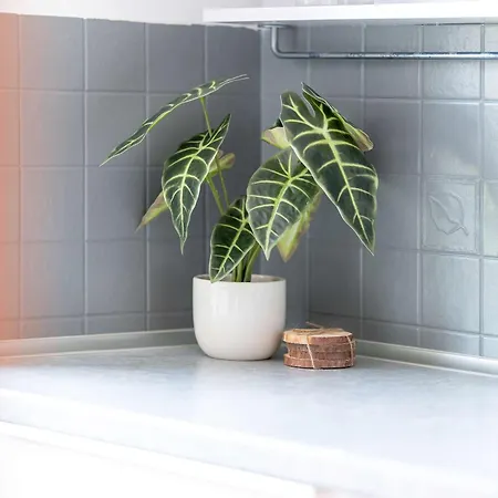 Charming With Parking And Balcony Near The Centre By Renters * Poznan